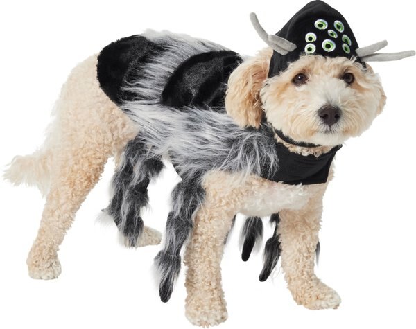 Frisco Spider Dog and Cat Costume