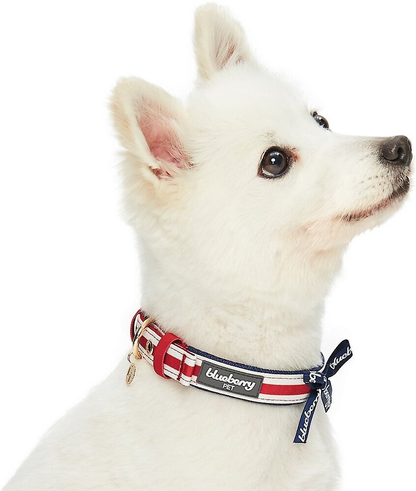 Blueberry Pet Bon Voyage Sea Lover Dog Collar