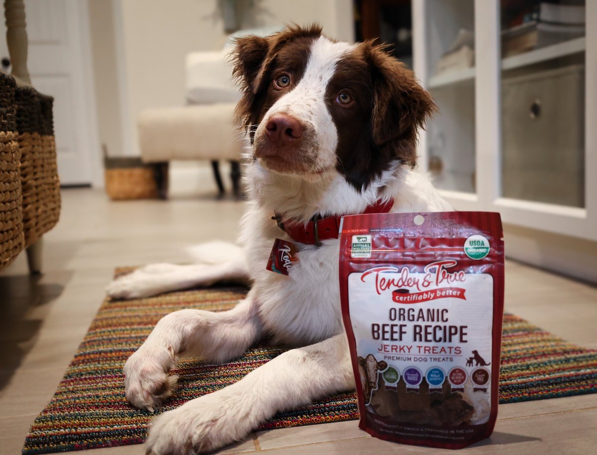 Tender and True Organic Beef Grain-Free Jerky Dog Treats， 4-oz bag