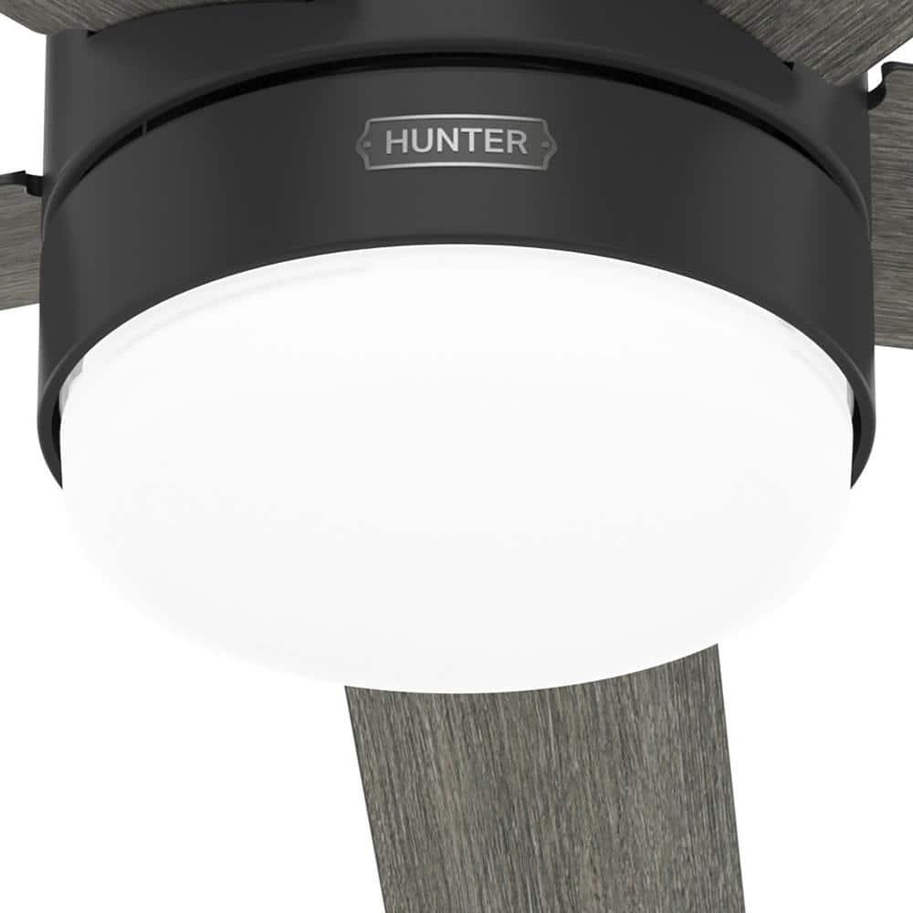 Hunter Irvine 52 in Indoor Matte Black Ceiling Fan with Remote and Light Kit