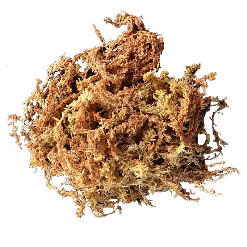 SPHAGNUM MOSS 432CU IN