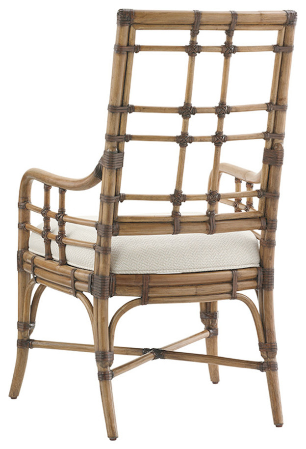 Seaview Arm Chair   Tropical   Dining Chairs   by Benjamin Rugs and Furniture  Houzz