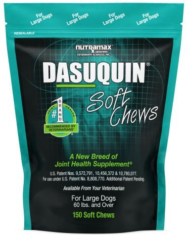 Nutramax Dasuquin Hip and Joint Soft Chews Joint Supplement for Large Dogs