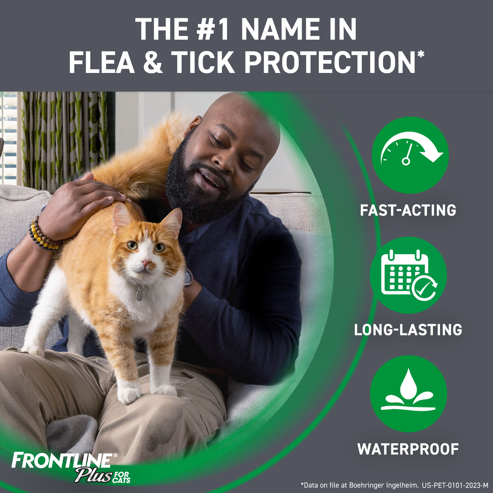 Frontline Plus Flea And Tick Treatment For Cats Over 1.5 Lbs.， 8 Treatments  | Flea Medicine For Cats， Cat Fleas Killer， Flea Medicine Kittens