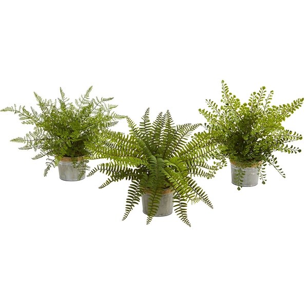 14 Assorted Ferns with Planter Artificial Plant (Set of 3)