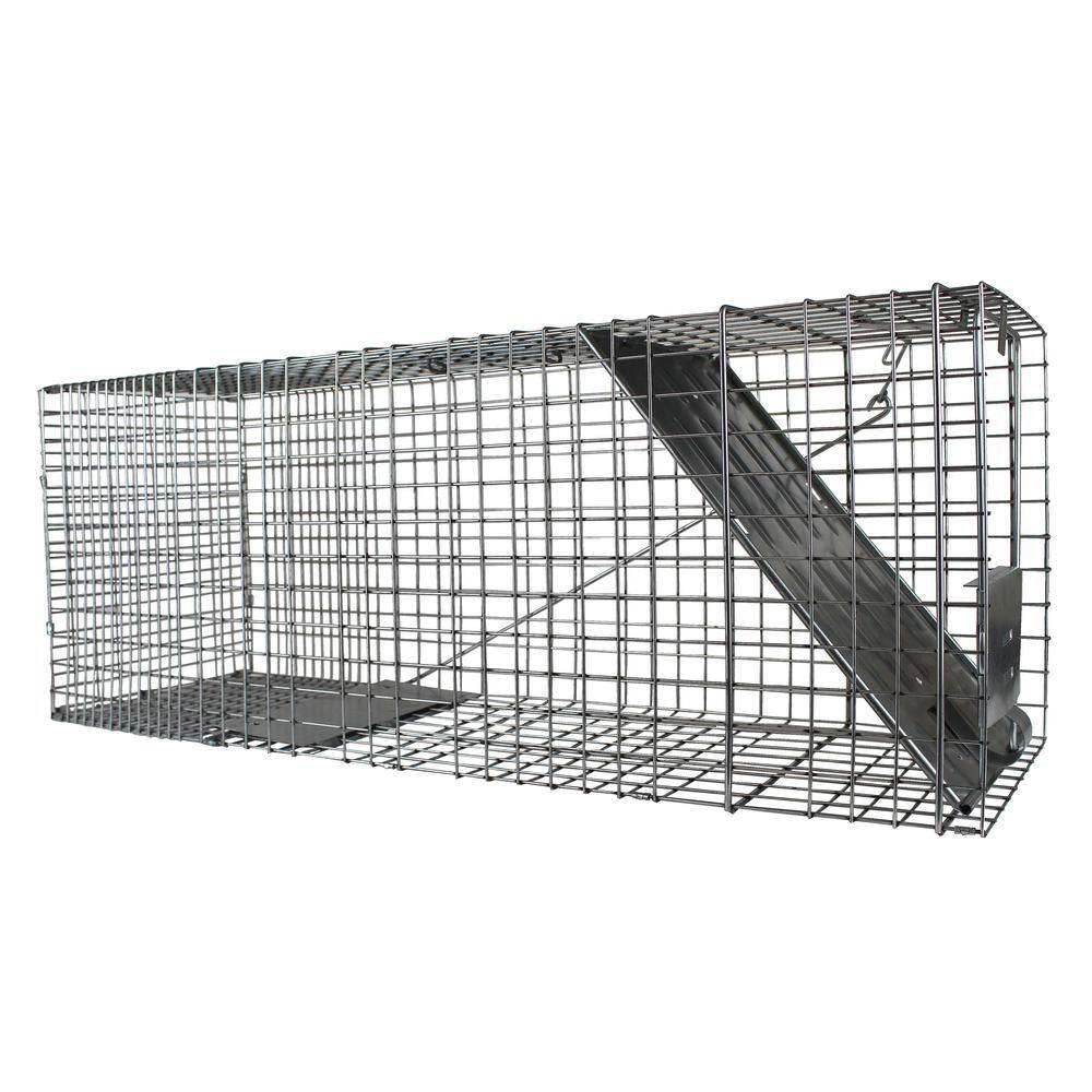 Havahart Large 1-Door Professional Live Animal Cage Trap for Raccoon Opossum Groundhog and Feral Cat 1079