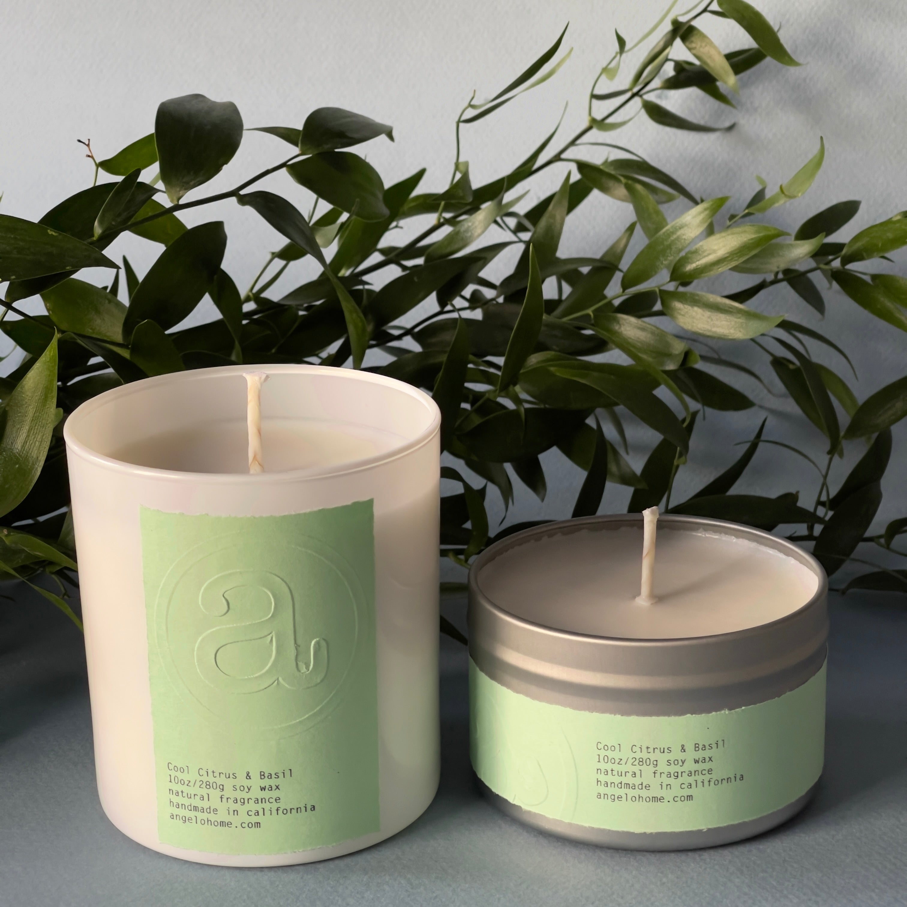 angelo:HOME Cool Citrus + Basil Scented Candle