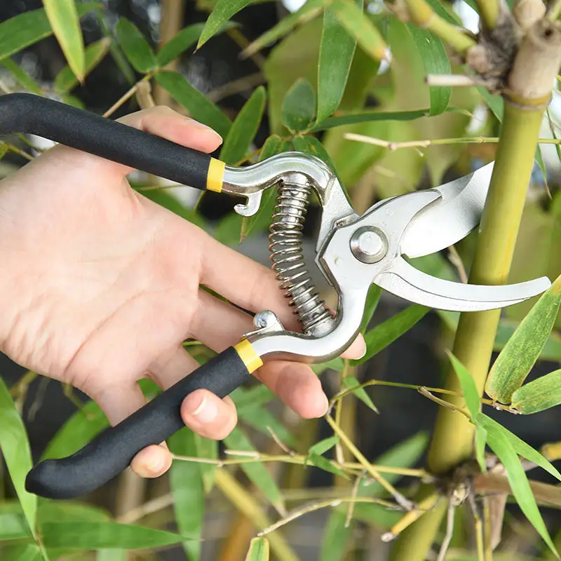 8inch carbon steel hand pruner professional tree trimmers garden scissors secateurs clippers bypass pruning shears