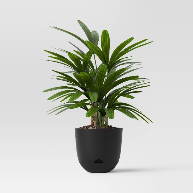 Self watering Plastic Indoor Outdoor Planter Pot