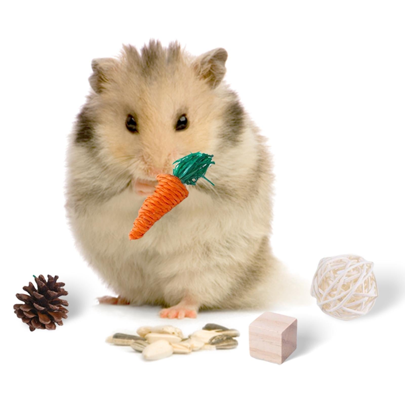 Hamster Chew Toys Set Small Animal Molar Toys Care Accessories for Guinea Pigs，Chinchillas，Gerbils，Mouse Rodents Toy Swing Carrot Rattan Ball -