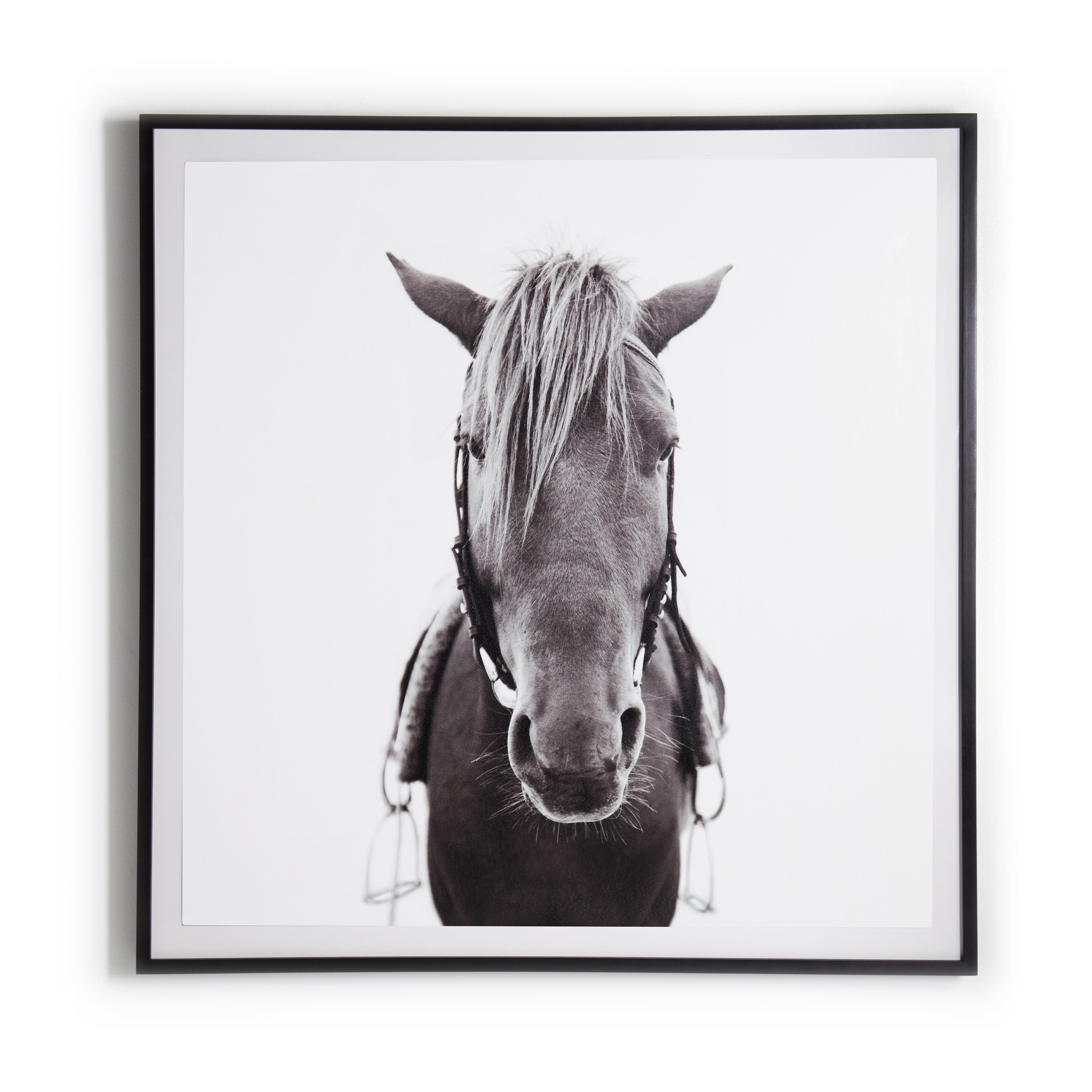 Horse Wall Art