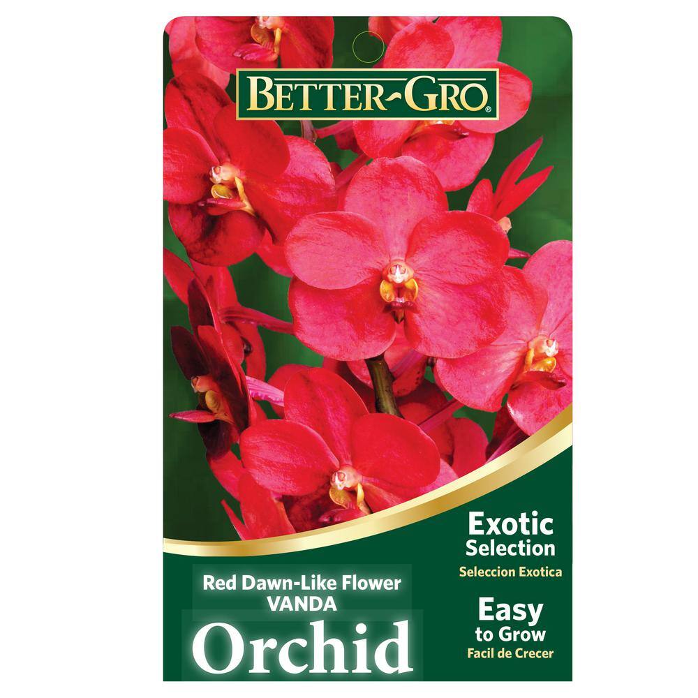 Better-Gro 4 in. Orchid Red Vanda Packaged Plant Plastic Basket 20327