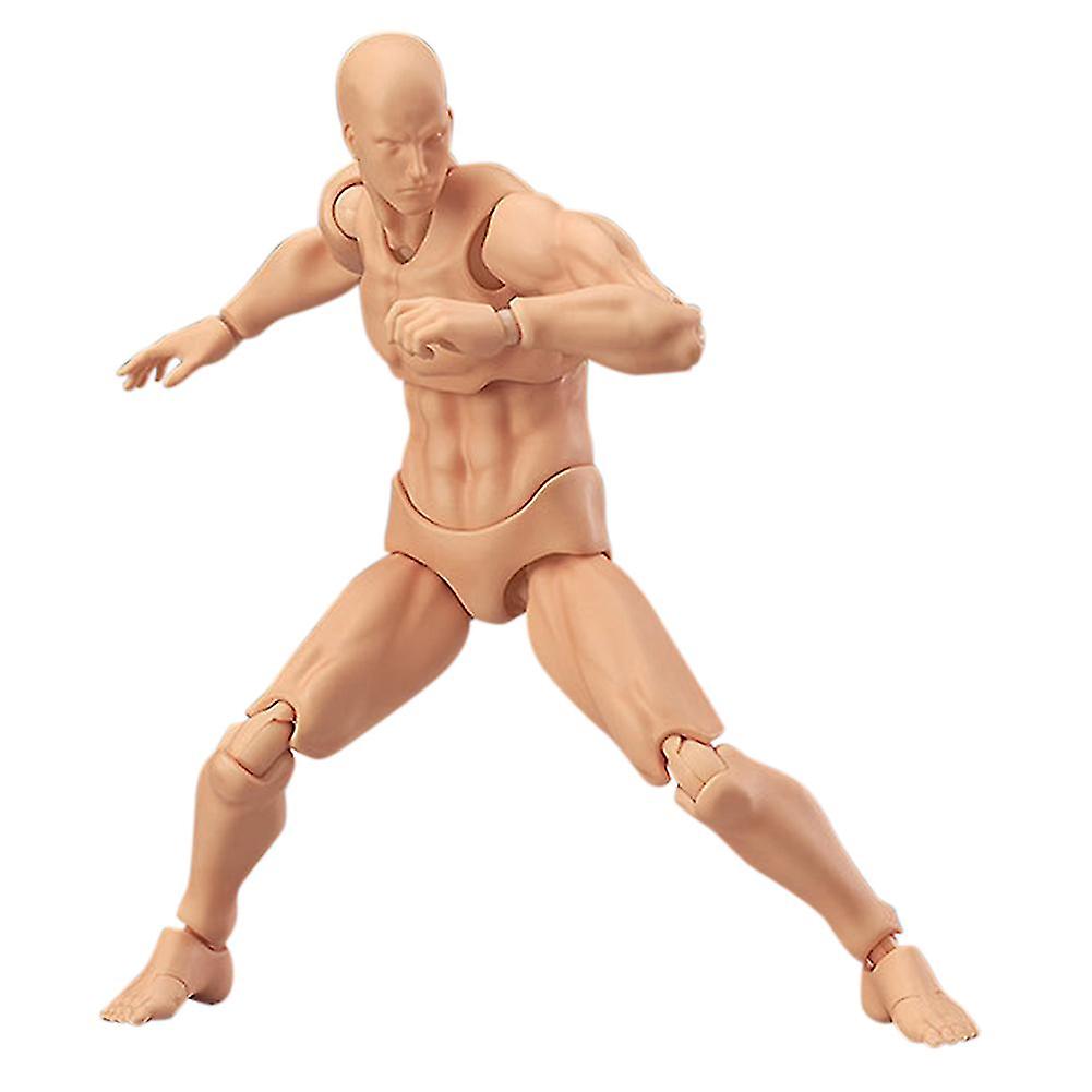 Articulated Mannequins Human Body Models PVC Movable Action Figure Models Gifts