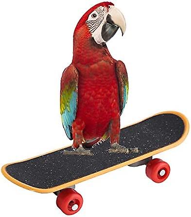 Bird Parrot Intelligence Toys Mini Training Skateboard For Budgies， Parakeet Cockatiel Lovebird Conure Small And Medium Bird Funny Perch Toy