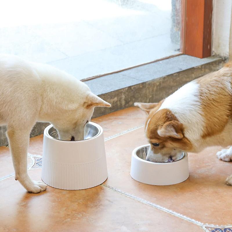 Tower design elevated dog bowl