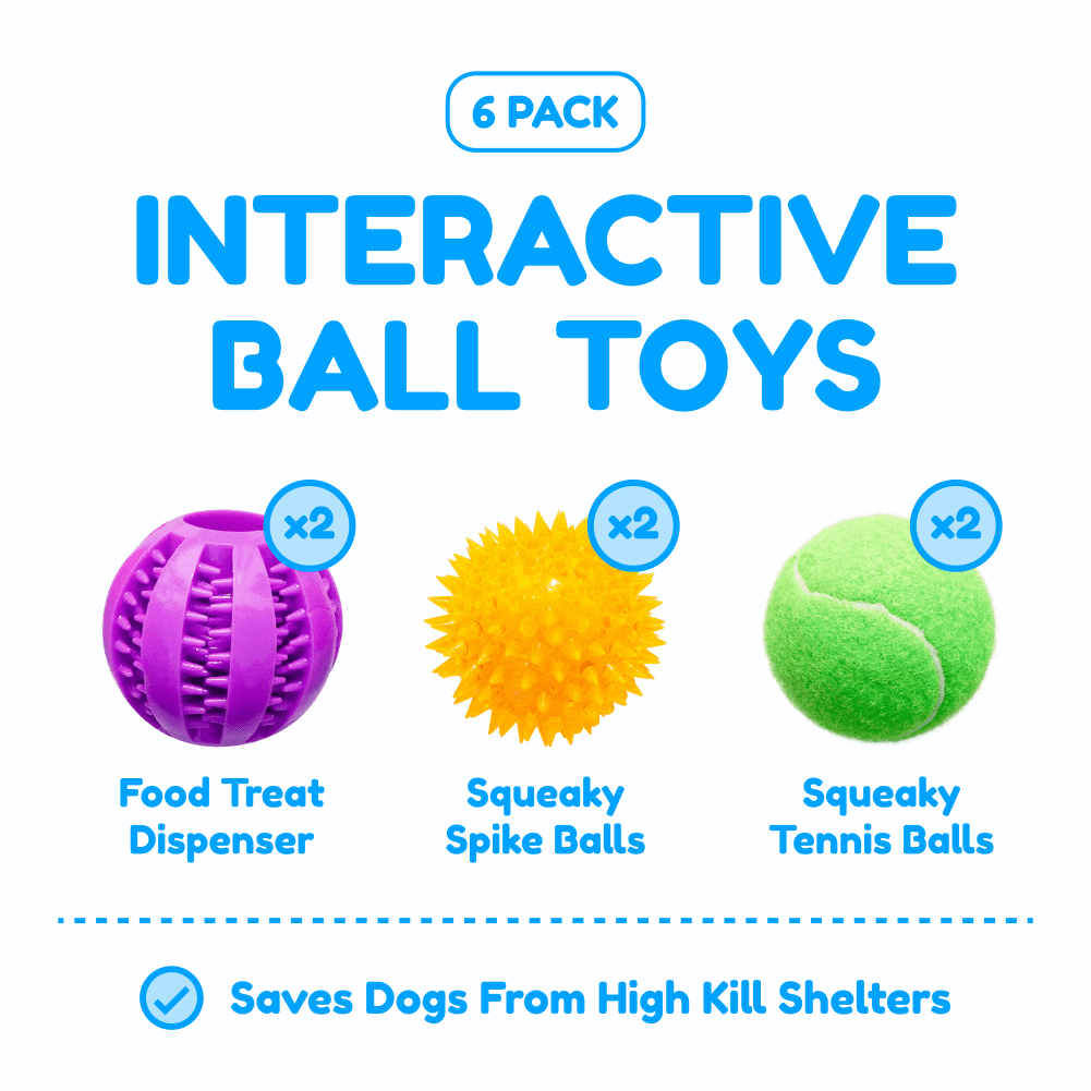 Pacific Pups Products 6 Pack of Dog Balls - Treat Balls， Squeaky Tennis and Spikey Balls