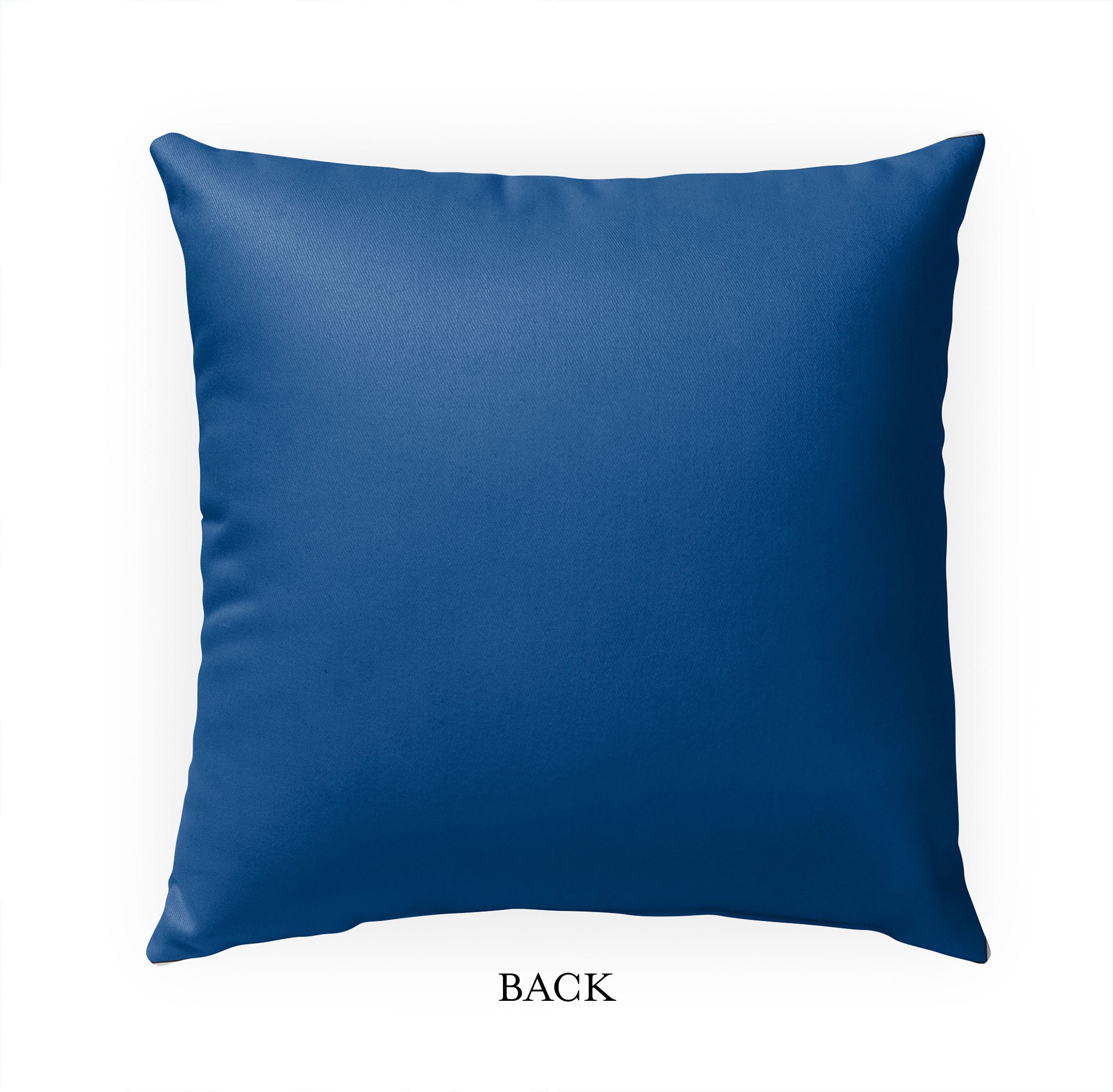 Lace Blue 2 Outdoor Pillow by Kavka Designs