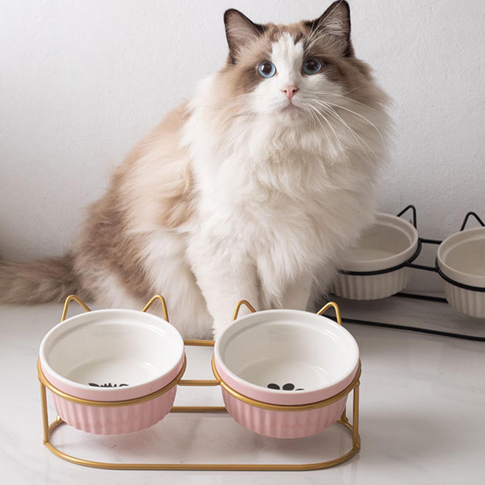 Cat Bowls Raised Iron Stuble Elevated