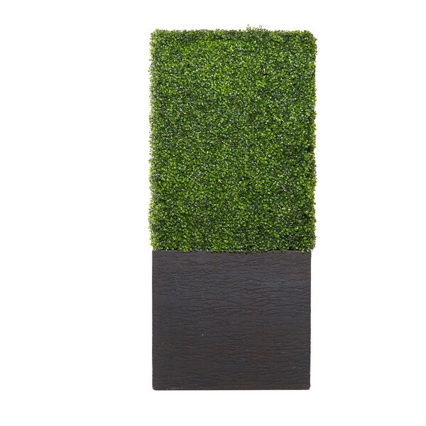 Exclusive and Utmost Beautiful Boxwood Hedge