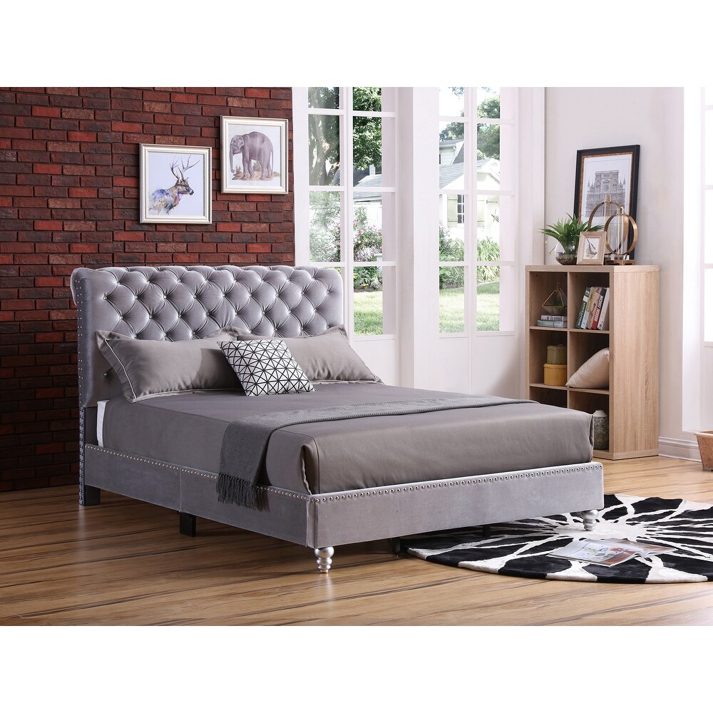 Maxx Tufted Upholstered Queen Panel Bed