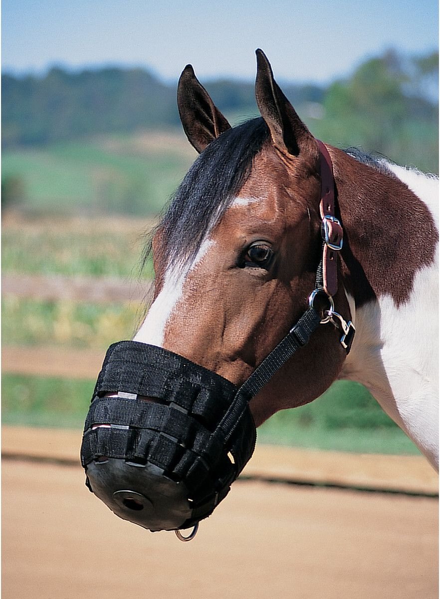 Weaver Leather Grazing Horse Muzzle