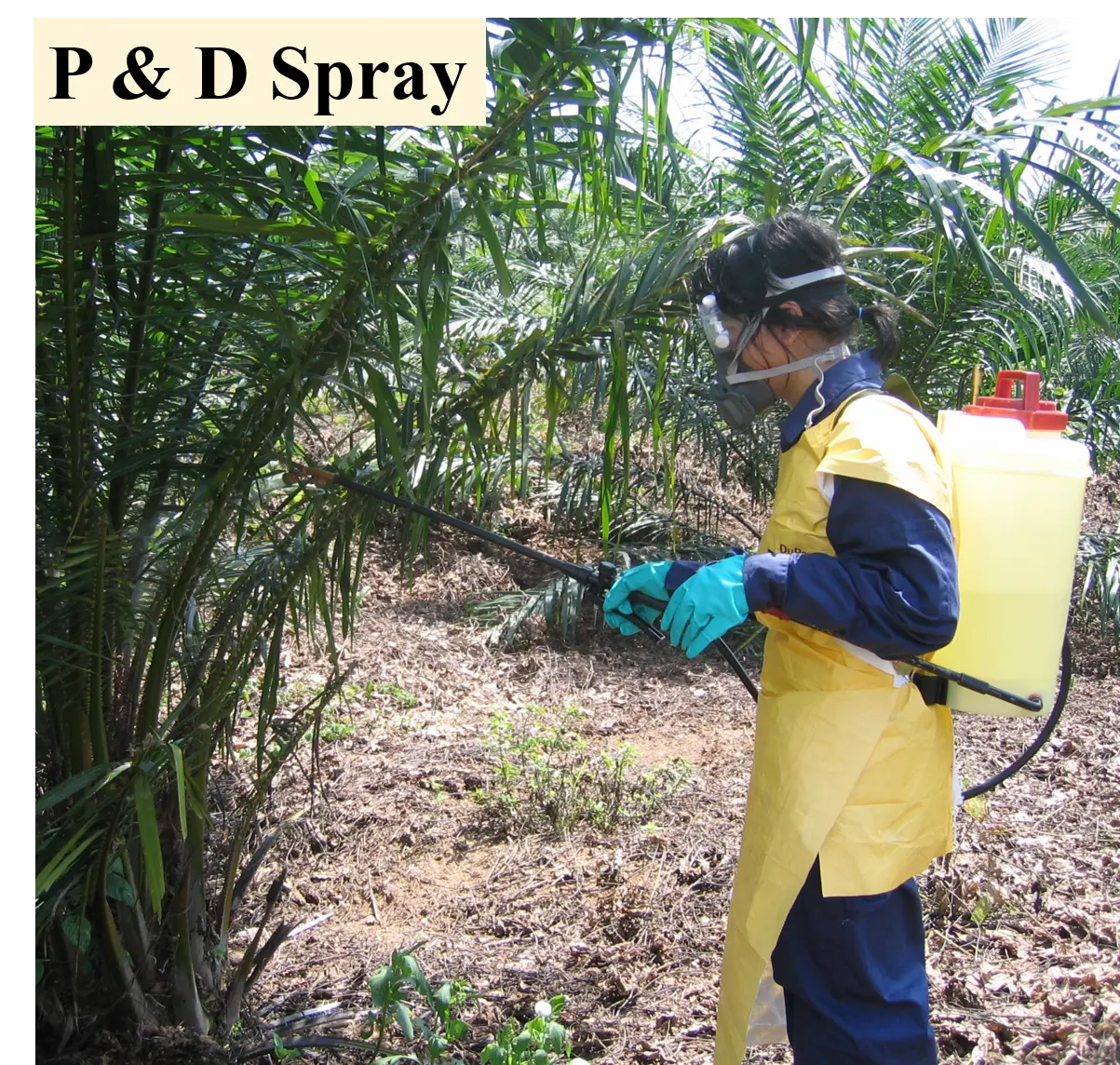 Knapsack Sprayer 16liter PB 16 Manual Knapsack Sprayer for Agriculture Made in Malaysia Brand Cross Mark