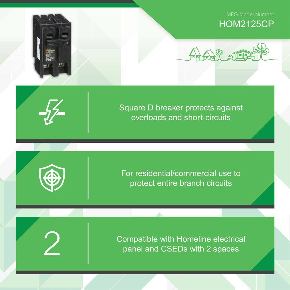 Square D Homeline 125 Amp 2-Pole Circuit Breaker HOM2125CP