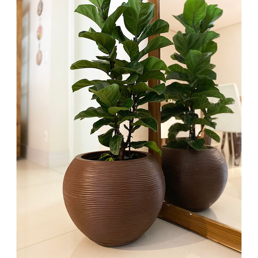 Floridis Florence Planter