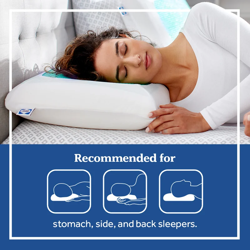 Sealy Essentials 24 in. x 16 in. Cooling Gel Memory Foam Standard Pillow F01-00597-ST0