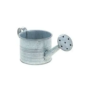 Luxury Watering Can Galvanized Simple Metal Water Can creative vintage water cane garden logo print watering can