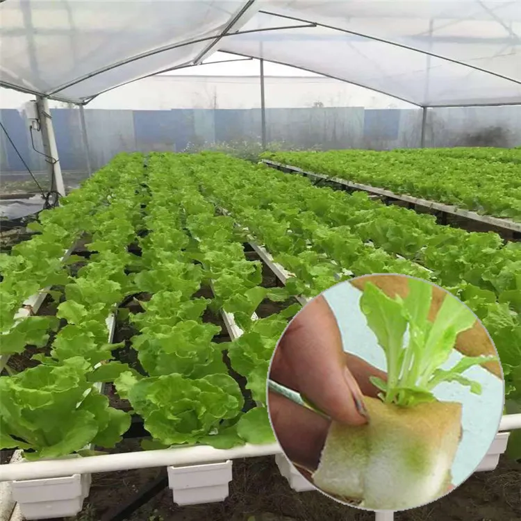 Factory supplies Hydroponics grow kit Agricultural Ecological Garden used seed plant hydroponic sponge