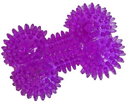 Gnawsome Squeaker Bone Dog Toy， Color Varies