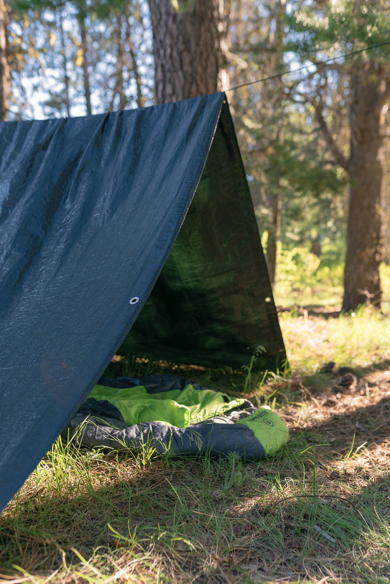 Stansport Medium-Duty Rip-Stop Tarp 5' x 8' - Forest Green - 2 Pack