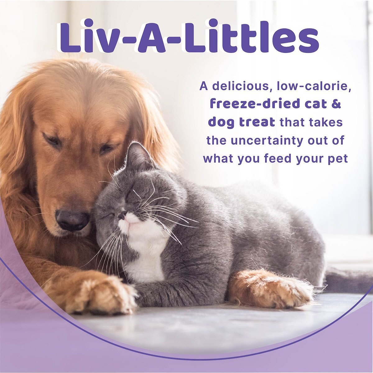 Halo Liv-A-Littles Beef Liver Protein Freeze-Dried Dog and Cat Treats， 3-oz bag