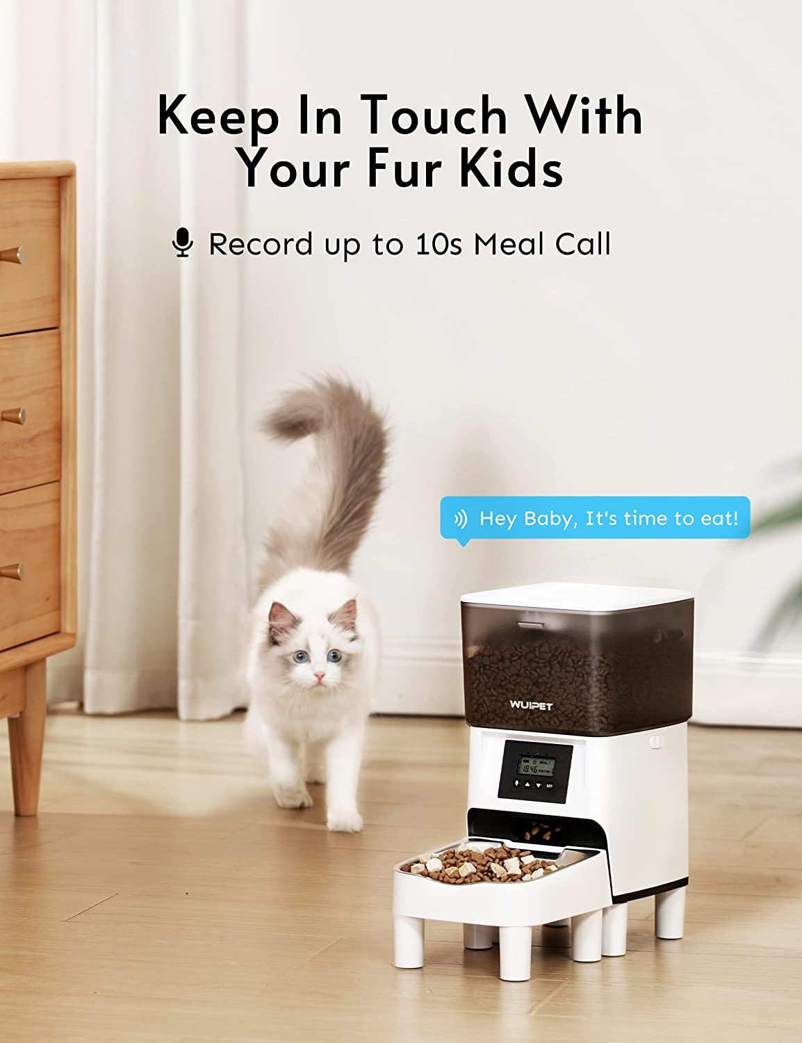 Elevated Automatic Cat Feeders - Height Adjustable Pet Dry Food Dispenser for Cats and Dogs - 17 Cups Programmable Timed Cat Feeder with Voice Recorder - 4 Meals Per Day and Portion Control