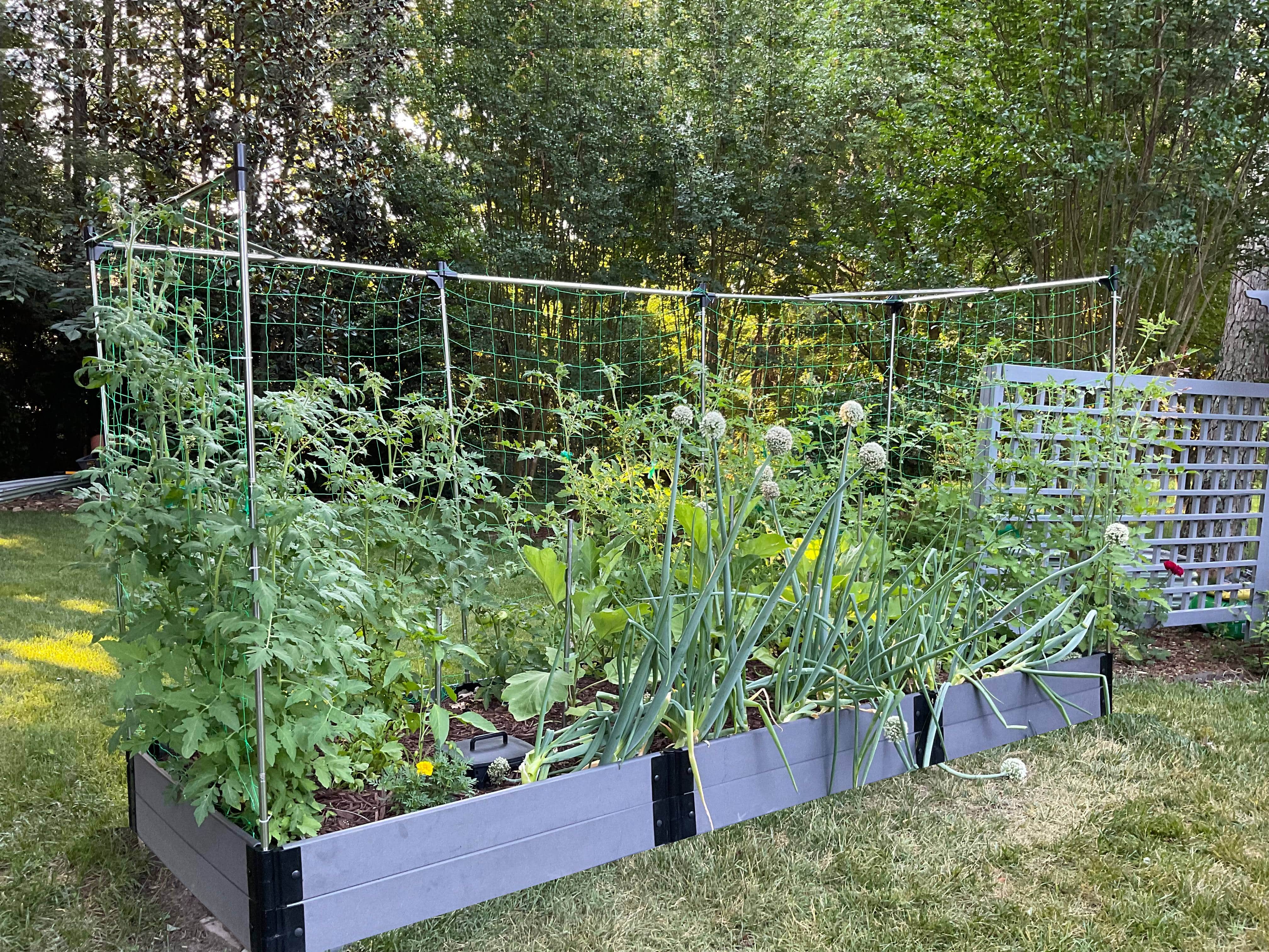 4' x 12' Raised Garden Bed with Trellis