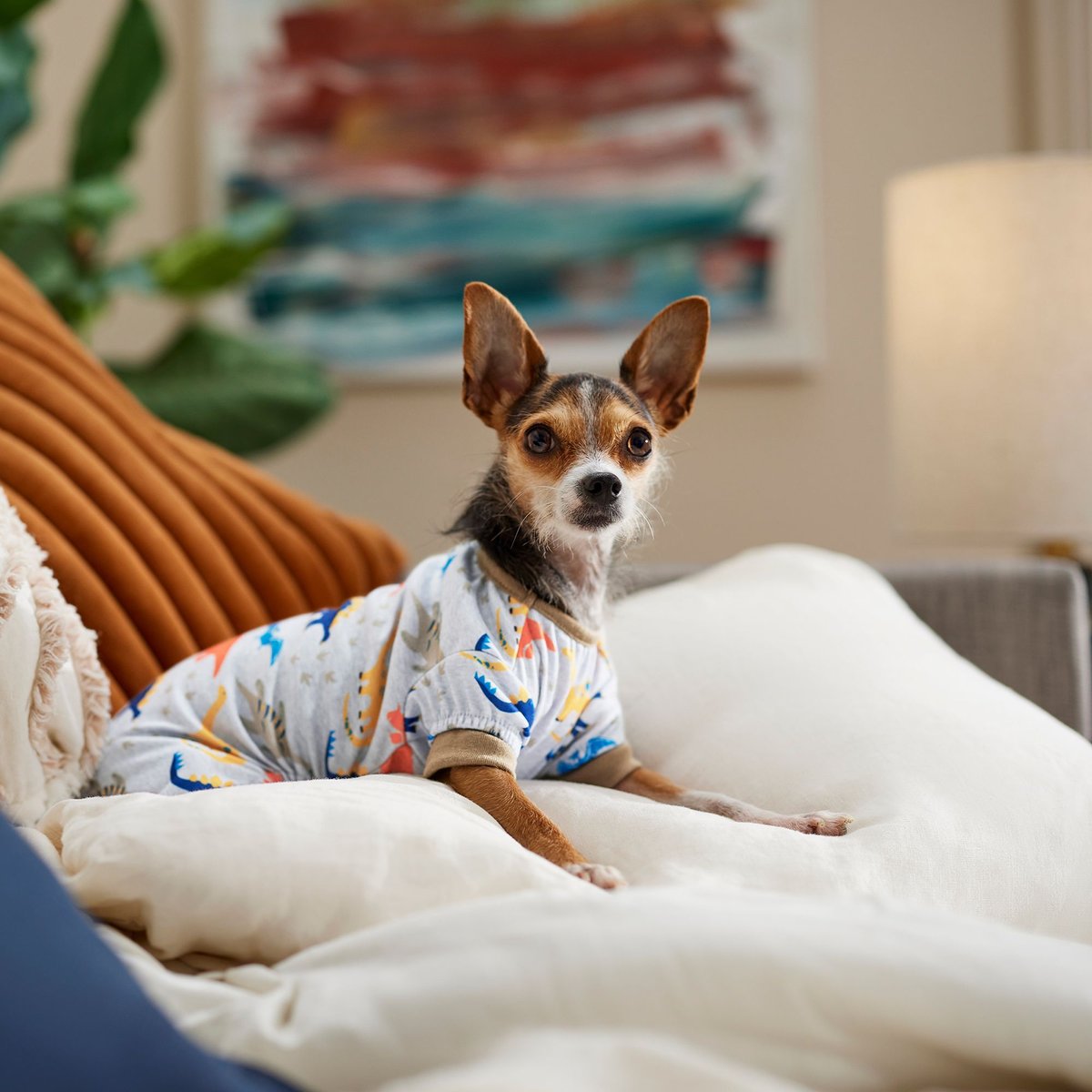 Frisco Dinosaur Dog and Cat Jersey PJs