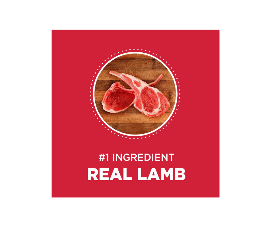 Iams Proactive Health - All Breeds， Adult Dog Lamb and Rice Recipe Dry