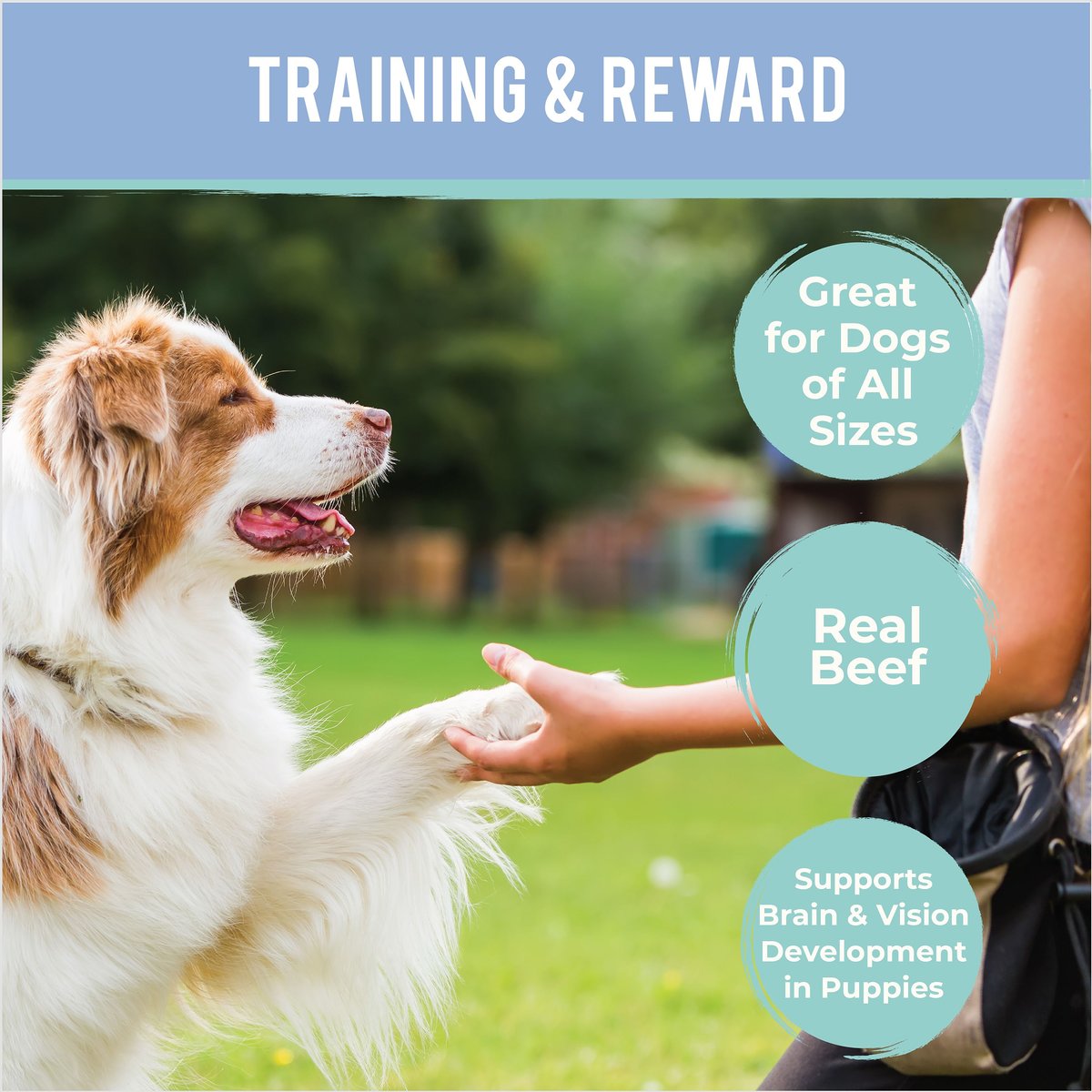 Howl's Kitchen Training Bites Beef Flavor Dog Treats