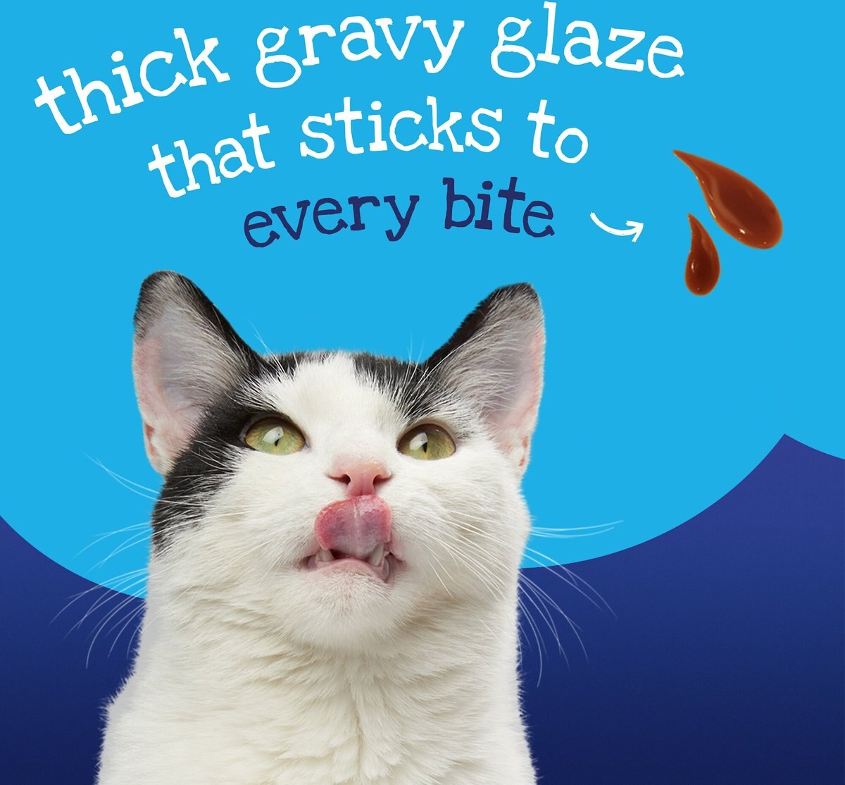 'Purina Friskies Gravy Wet Cat Food， Glaz’d and Infuz’d With Gravy Glaz’d Tuna， 3.5-oz TR， Case of 12