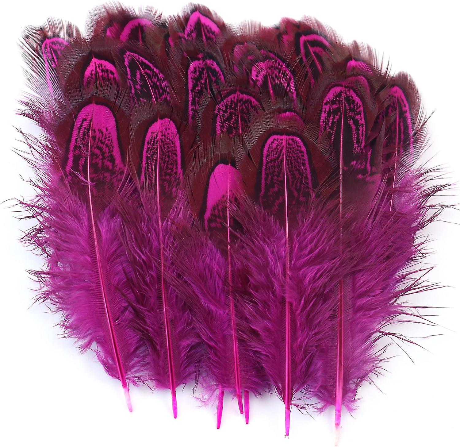 100 Pcs 2-3 Inch Rose Red Pheasant Feathers Bulk Various Colors Natural Feather Crafts Clothing Hat Sewing Decorating