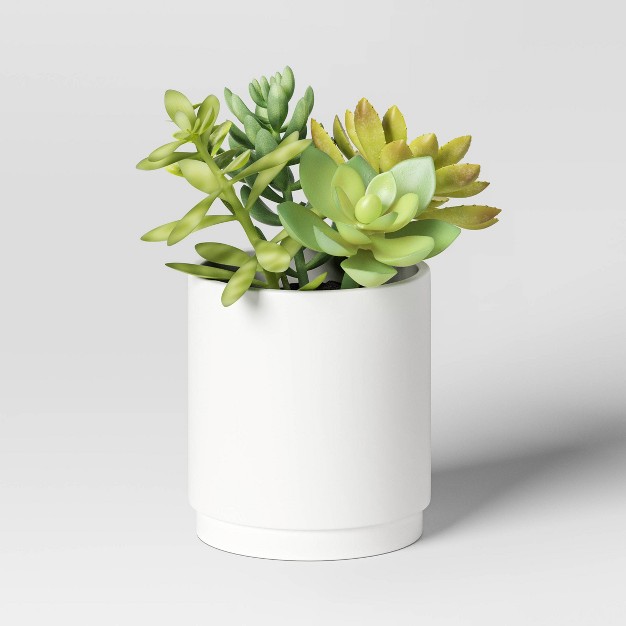 Artificial Succulents Plant In Pot