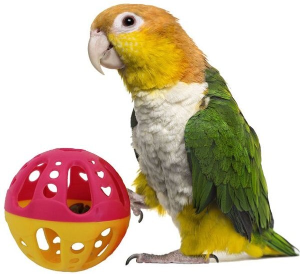 Super Bird Creations Birdie Balls， 4 count， Large