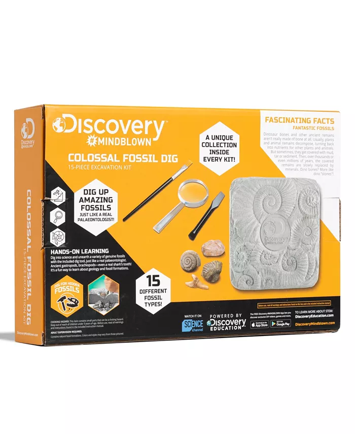 Discovery #MINDBLOWN ColossalFossil Dig Set  15-Piece Archeology Excavation Kit