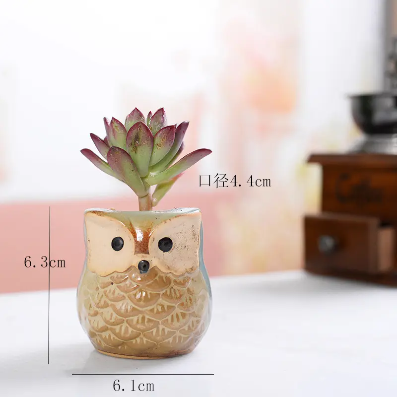 Animal Flower Pot Mini Ceramic Owl Flower Pot Set