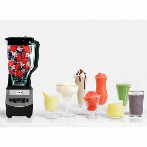 Ninja Professional 1000 Watt Blender