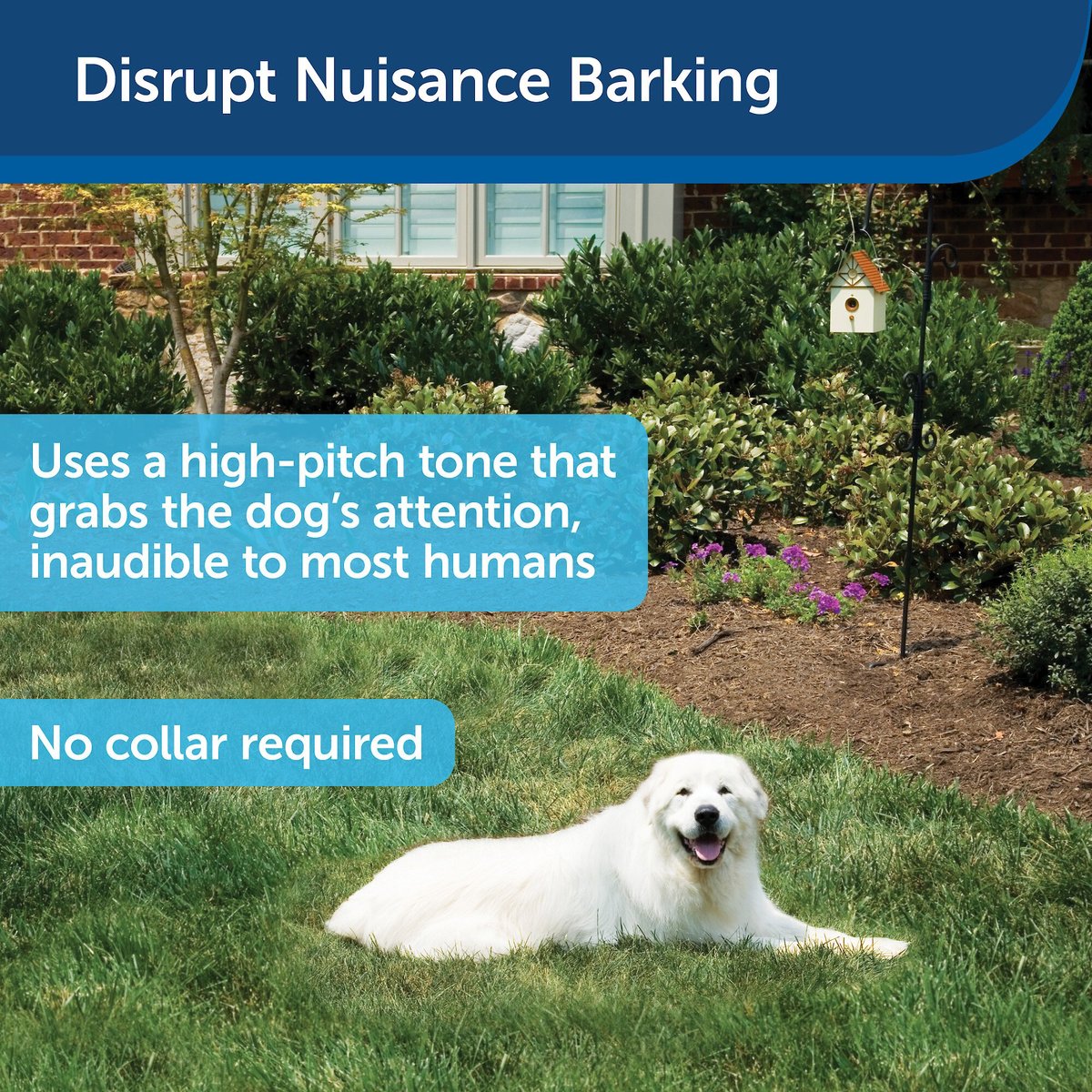 PetSafe Outdoor Ultrasonic Bark Control Deterrent