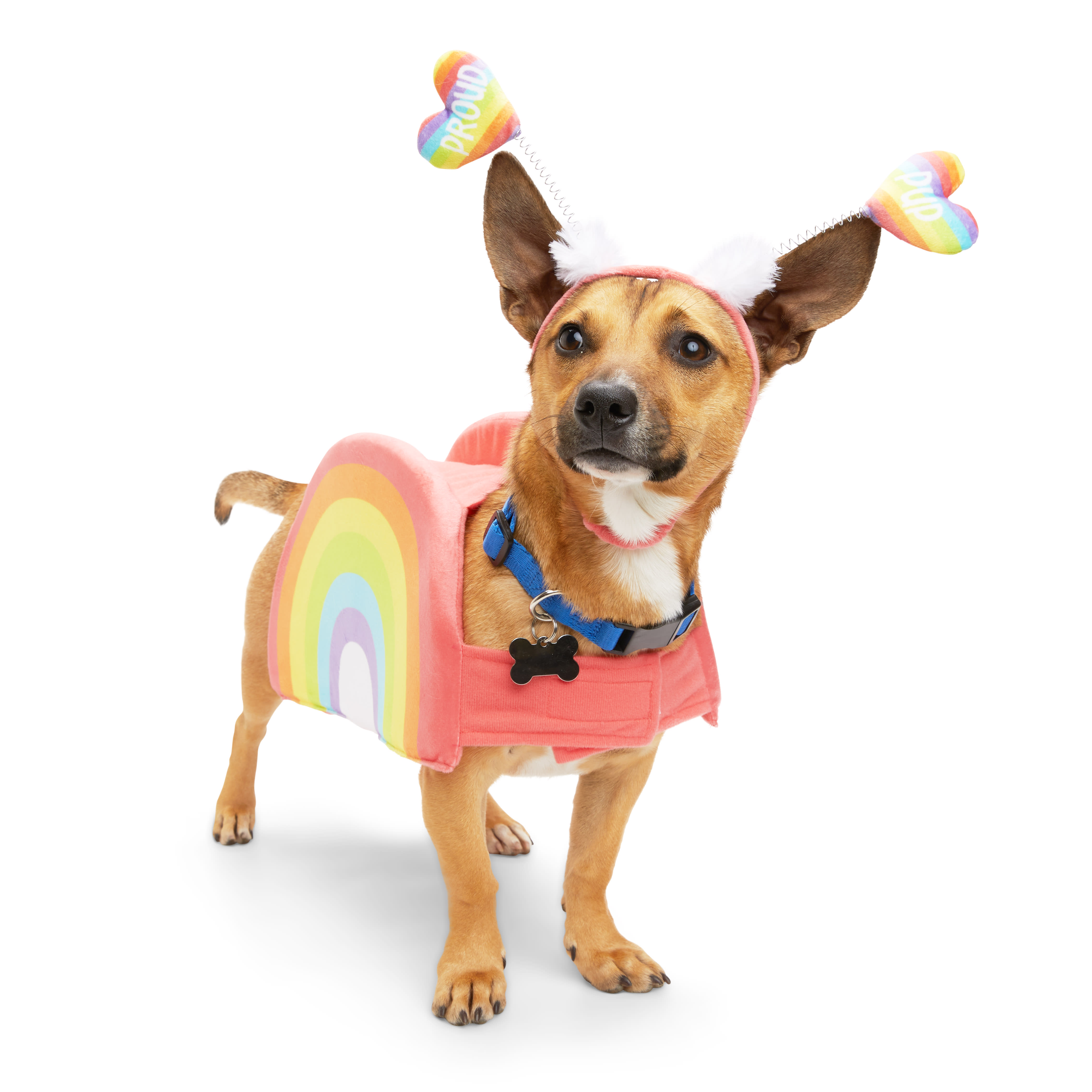 YOULY Pride Rainbow Dog Costume， X-Small