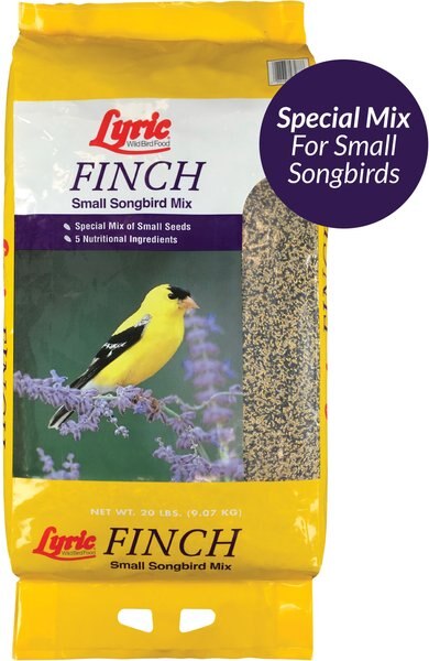 Lyric Finch Small Songbird Mix Wild Bird Food