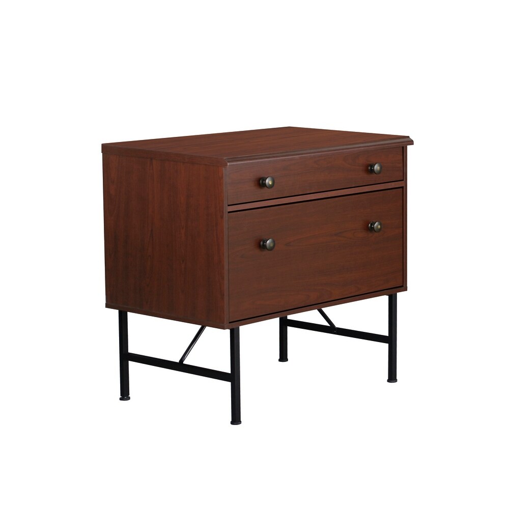 Saint Birch 2 Drawer Lateral File Drawer